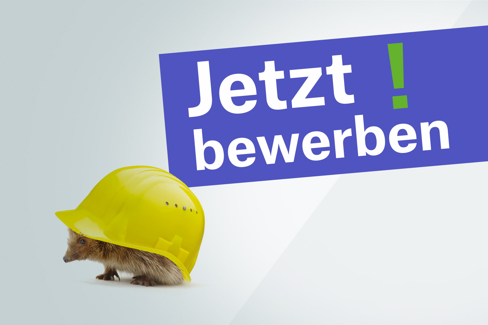 Jetzt bewerben